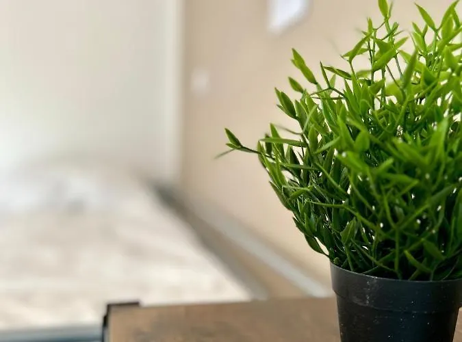 Geraeumige I 6 Betten I Balkon & Stellplatz